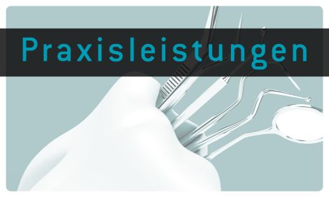 Praxisleistungen